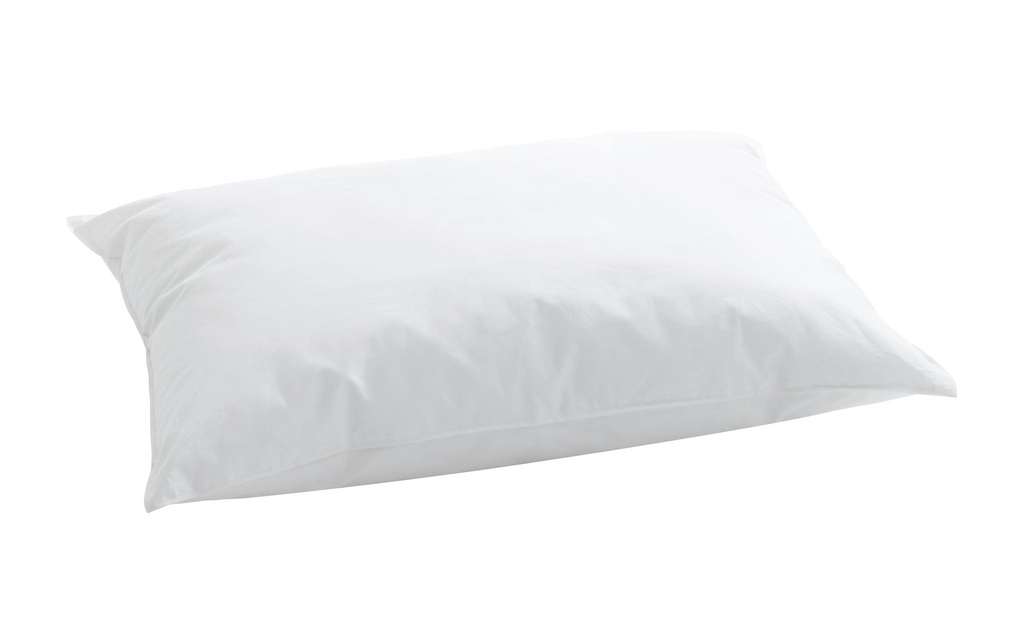 Billerbeck Oreiller classique Softy 50 x 70 cm