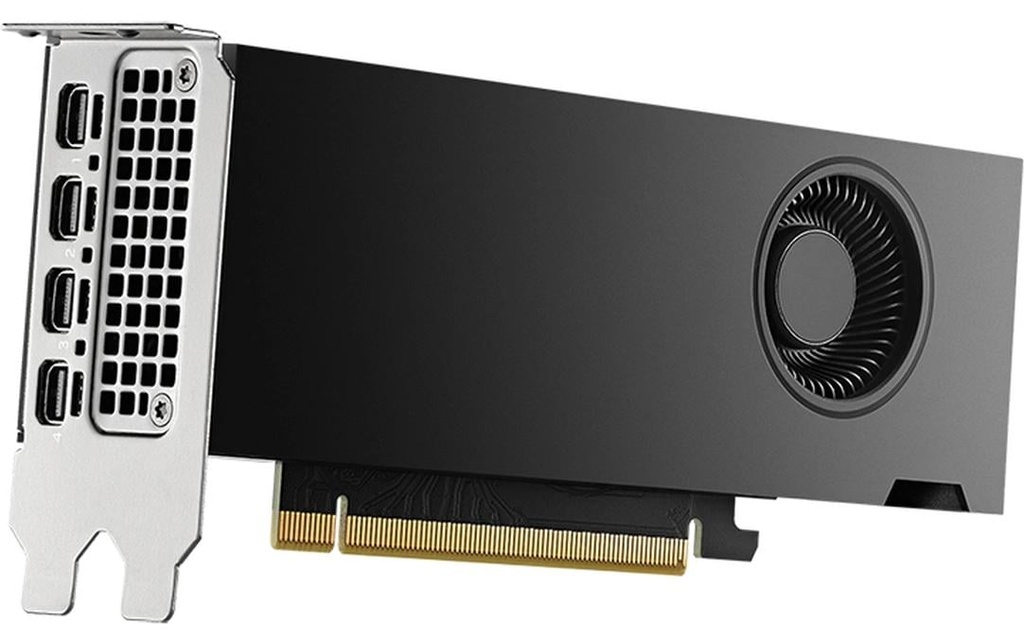 PNY Carte graphique NVIDIA RTX 2000 Ada Generation 16 GB