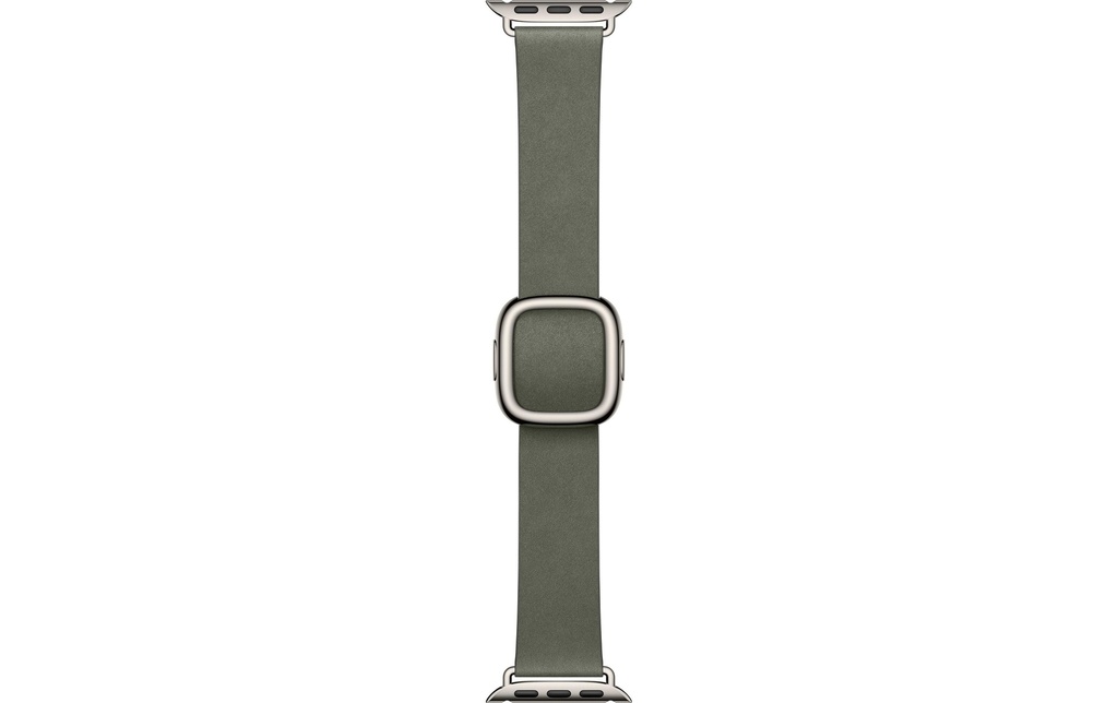 Apple Modern Buckle 42 mm Sage Gray Medium