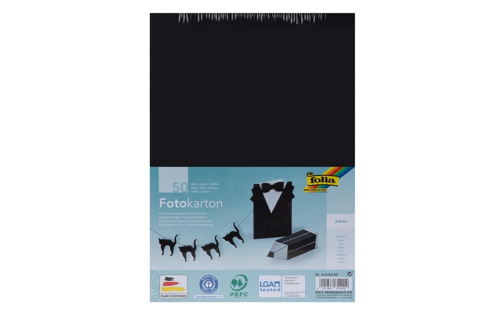 Folia Papier cartonné A4, 300 g/m², 50 feuilles, noir