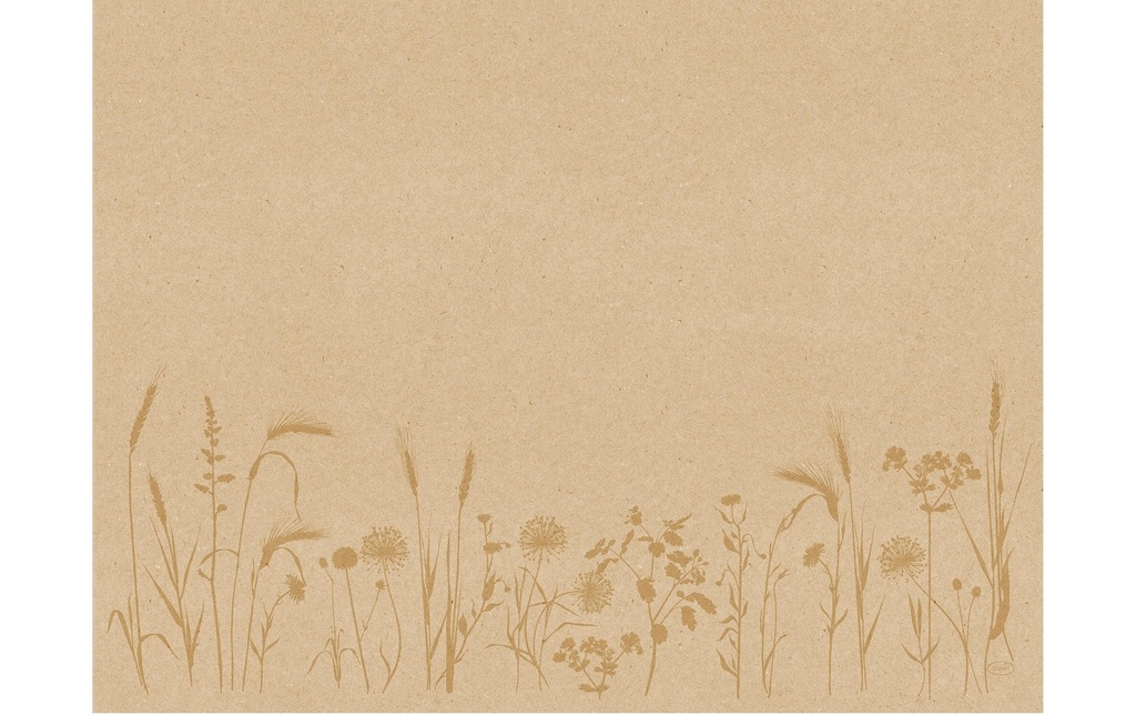 Duni Set de table Bio DC Meadow 250 pièces, 30 cm x 40 cm, Nature