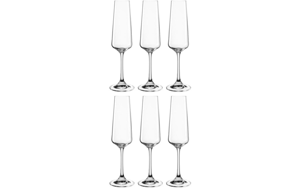 LEONARDO Verre à champagne Paladino 220 ml, 6 Pièce/s