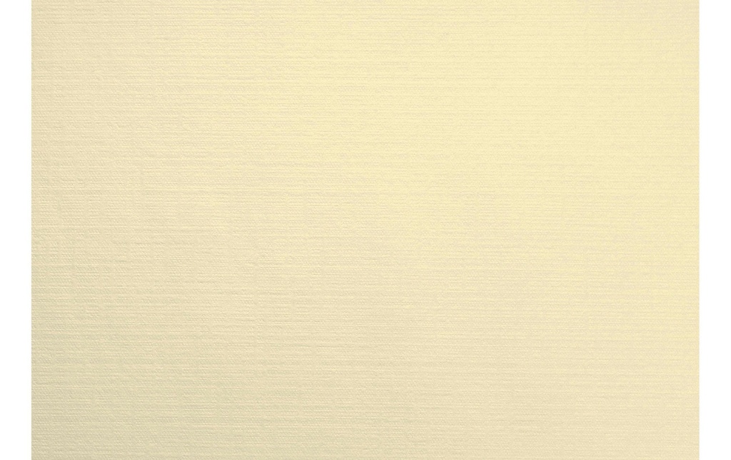 Duni Set de table Uni 75 pièces, 30 cm x 40 cm, Cream