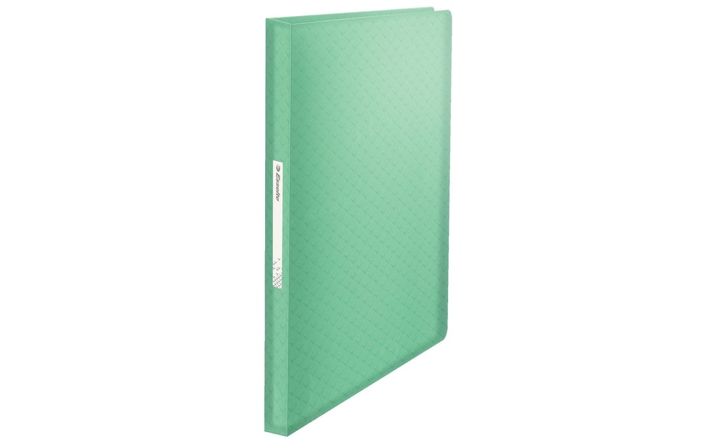 Esselte Chemises de présentation COLOUR‘ICE 80 feuillets, vert