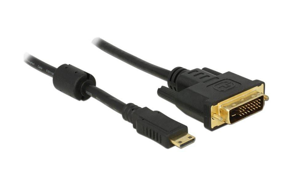 Delock Câble Mini-HDMI (HDMI-C) - DVI-D, 1 m