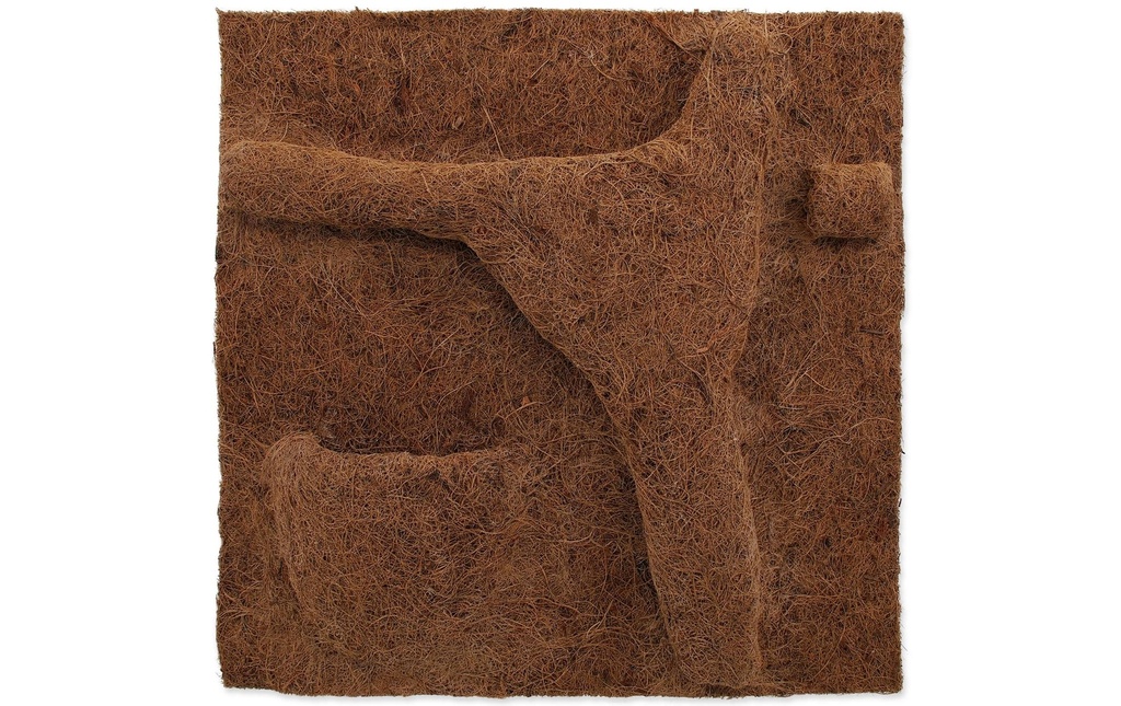 Repti Planet Coco bac à plantes 50 x 50 cm