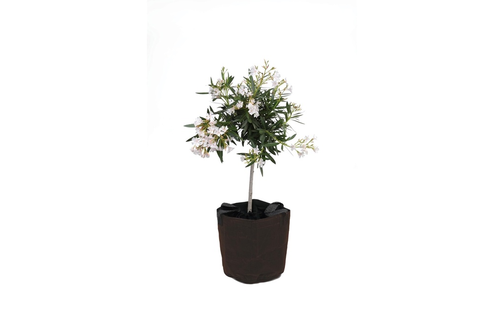 Colibri Pot de protection contre le gel Ø 45 x 55 cm, brun