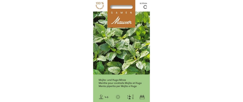 Samen Mauser Semence Urban Gardening Mojito Hugo Menthe