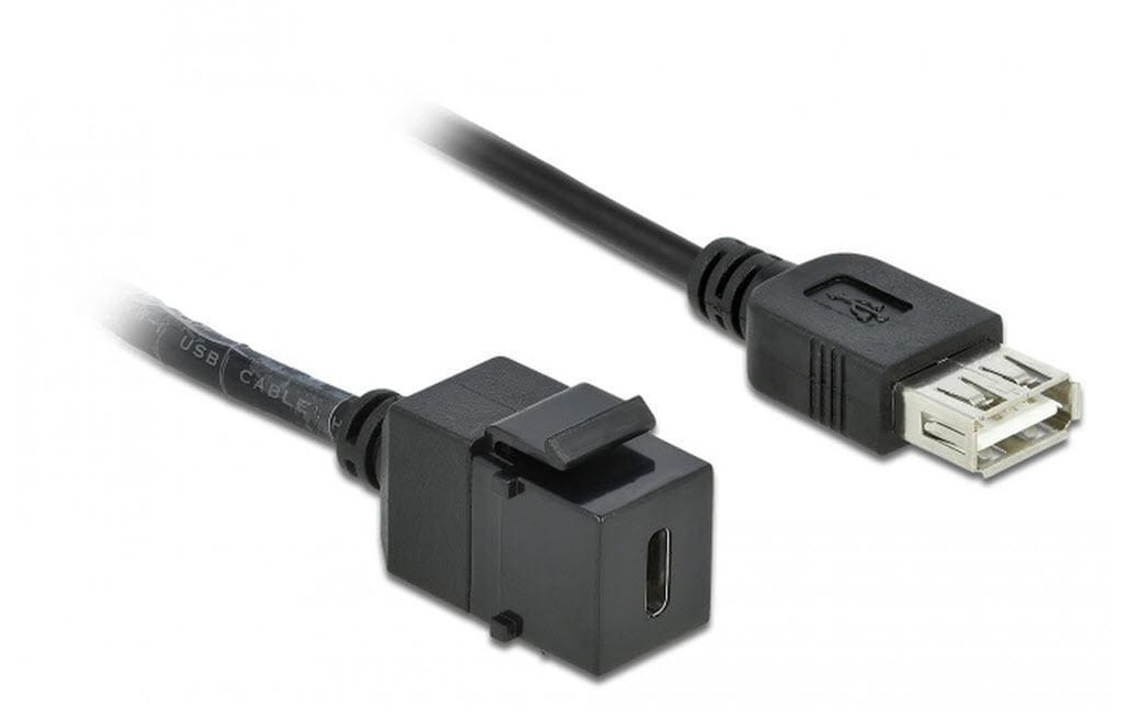Delock Module Keystone USB2.0 USB-A – USB-C, 25cm noir