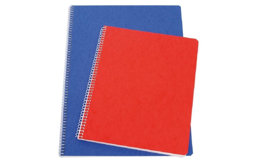 Naturaline Carnet de notes A6, À carreaux