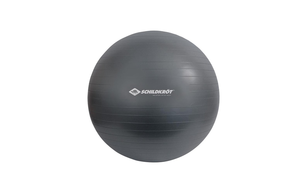 Schildkröt Fitness Ballon de gymnastique 75 cm