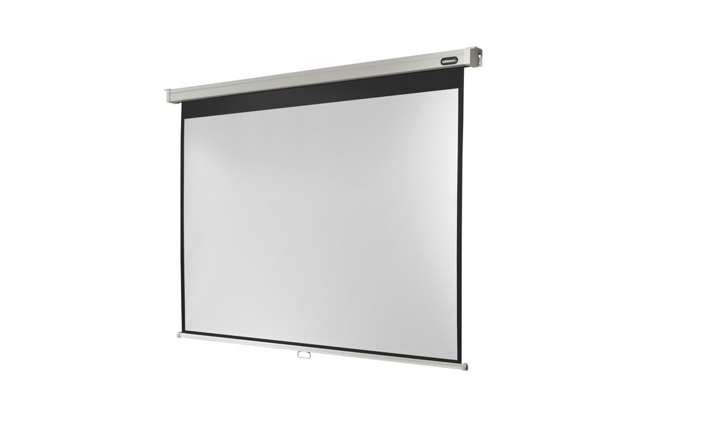 Celexon Écran mural enroulable Pro 200x150cm 4:3