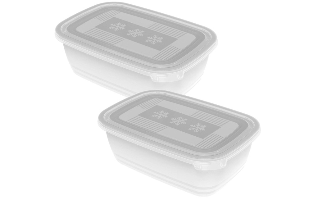 Rotho Récipients à provisions Freeze 2 pièces, 1.9 l, Transparent
