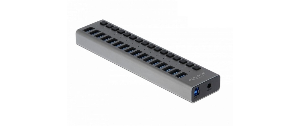 Delock Hub USB 16 ports et interrupteur