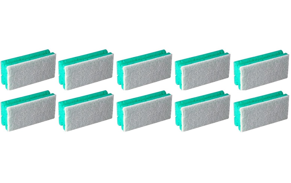 Edi Baur Éponge Profi 10 Pièce/s, vert/blanc