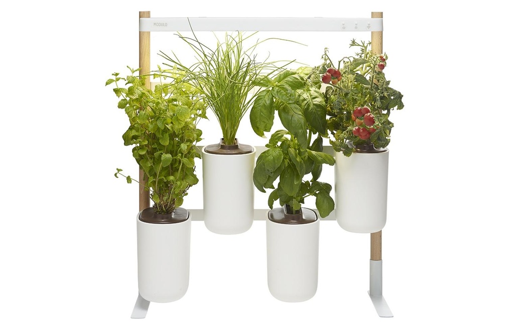 Prêt à Pousser Pot à herbes aromatiques Indoor Modulo 3 Blanc
