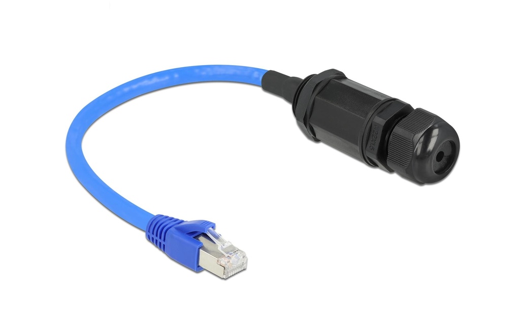 Delock Câble patch RJ-45 - RJ-45, Cat 6, S/FTP, 0.25 m, Bleu