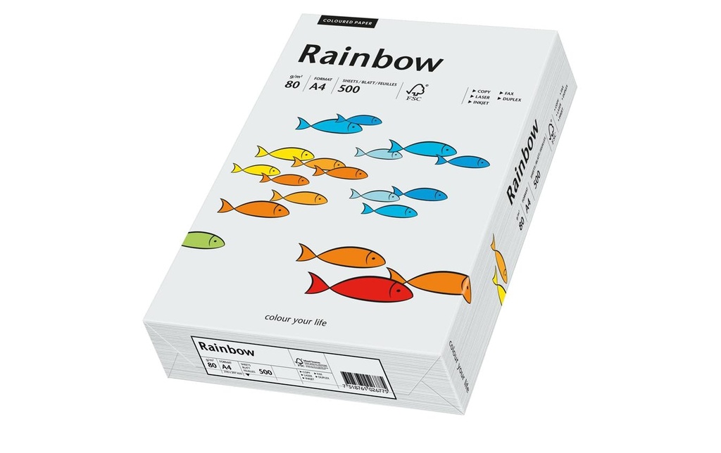 RAINBOW Rainbow A4 80g gris clair (500 pces)