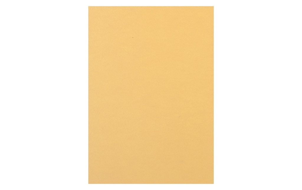 RAINBOW Rainbow A4 120g chamois (250 pces)