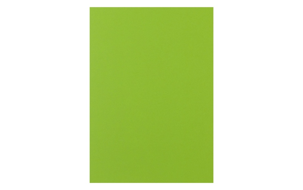RAINBOW Rainbow A4 160g vert fluo (250 pces)