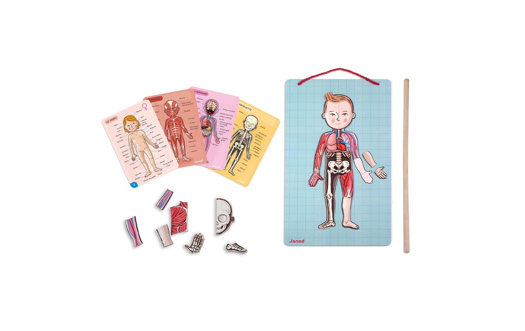 Janod Jeux d’enfant Jeu magnétique Corps