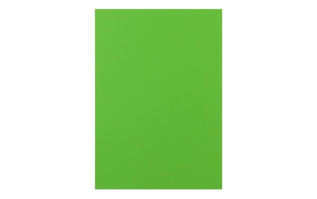 RAINBOW Rainbow A4 160g vert (250 pces)