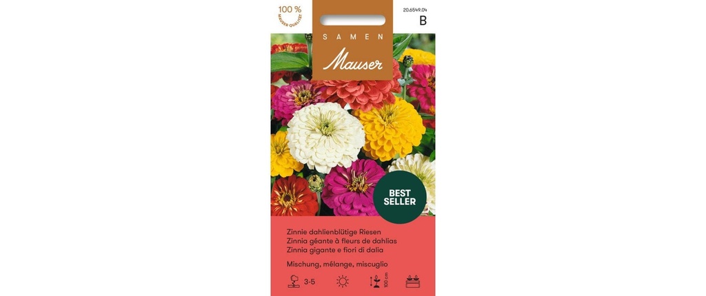 Samen Mauser Semence Zinnie dahlienblütige mélange géant