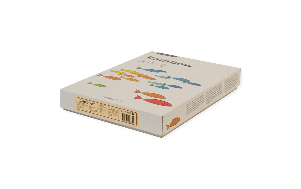 RAINBOW Rainbow A3 120g vert clair (250 pces)