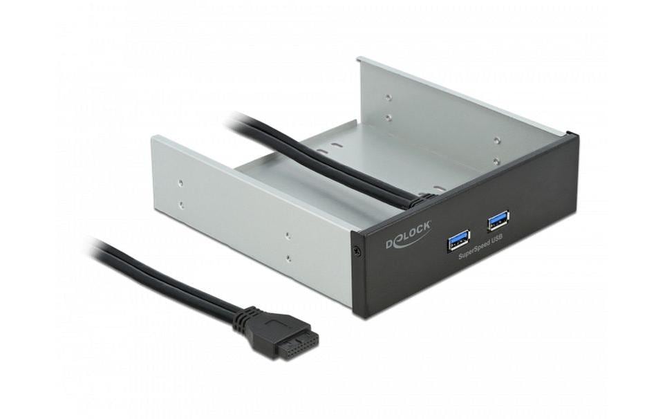Delock Panneau frontal 2x USB-A pour la baie de 5.25