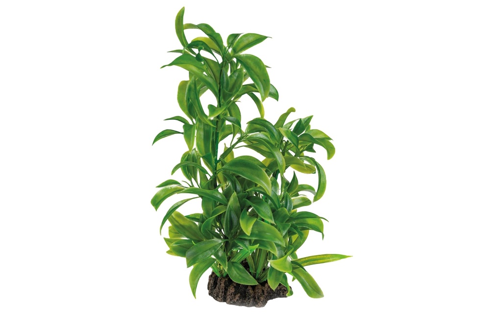 SuperFish Plante artificielle Dracaena, 25 cm