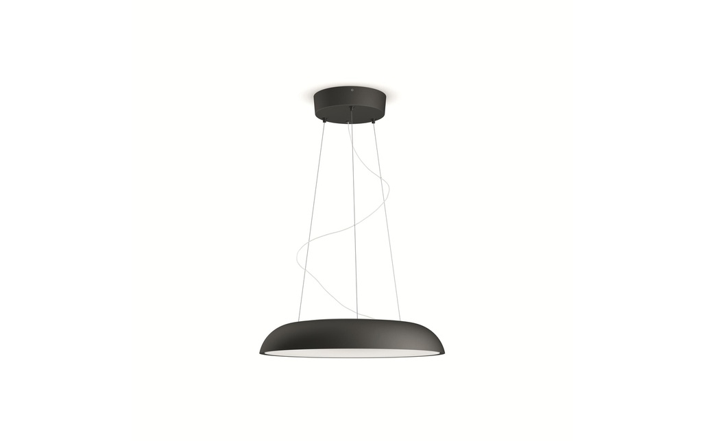Philips Hue White Amb. Amaze suspension noir 2750 lm + dimmer