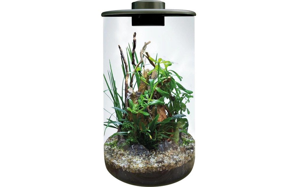 Bio Art Pot de plantes Cylindre 285 Noir