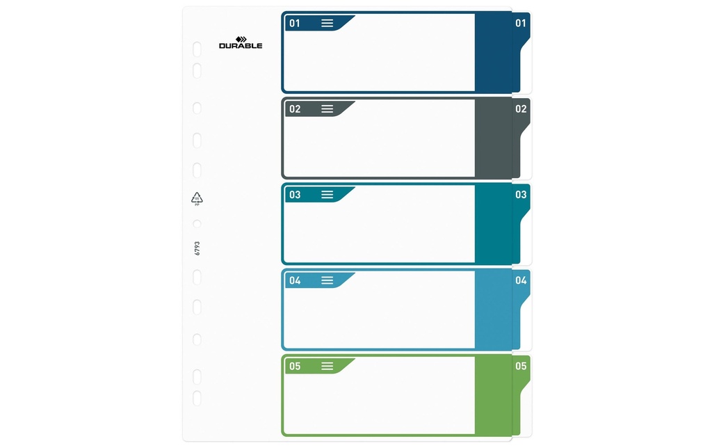 DURABLE Registre A4+, 1-5, 5 couleurs