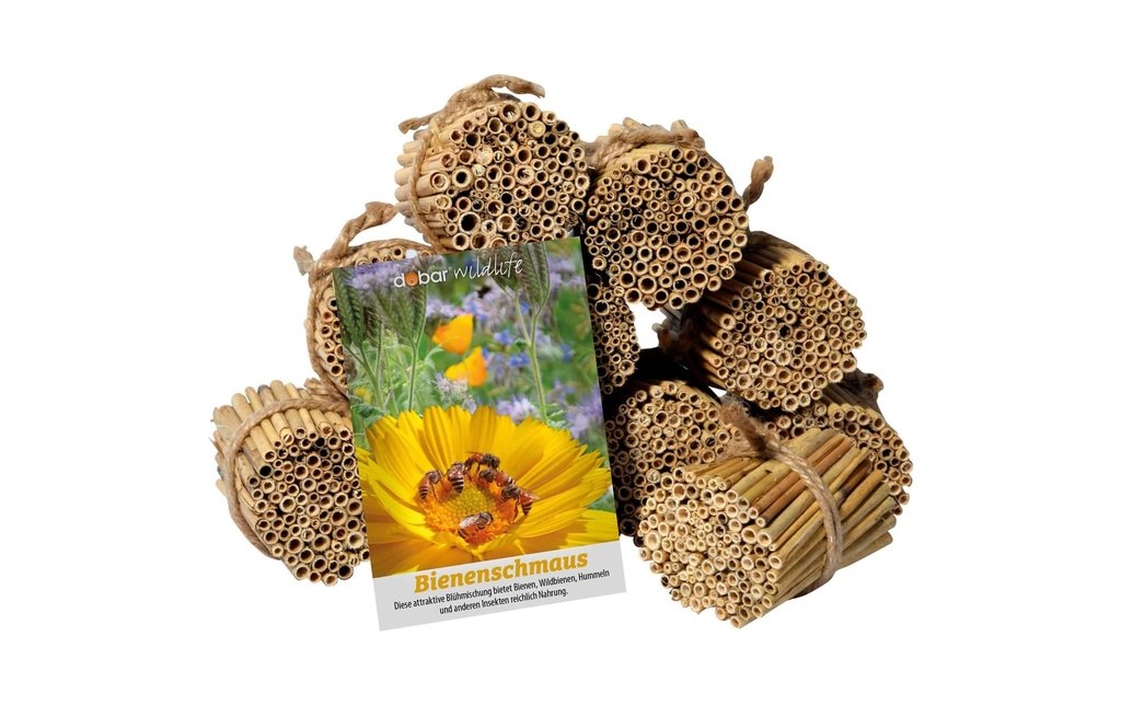 dobar green label Kit de tiges de roseaux, 1000 pièces, 9 cm