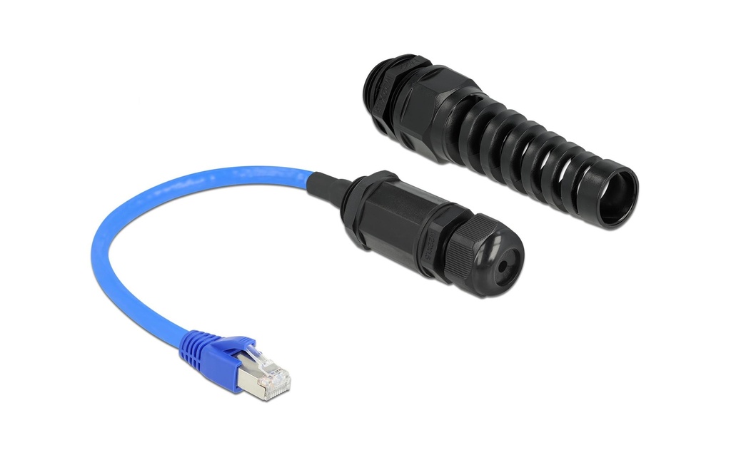 Delock Câble patch RJ-45 - RJ-45, Cat 6, S/FTP, 0.25 m, Bleu
