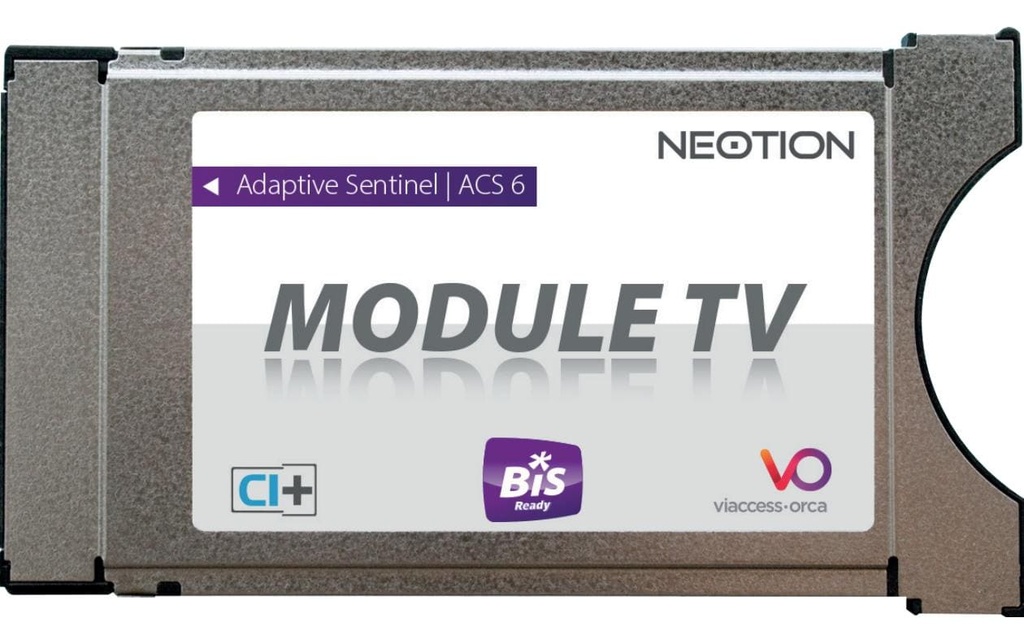 CE Module CI Viaccess CAM convient pour Bis-TV (intégré)