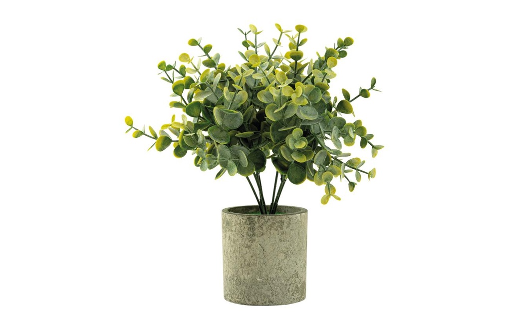 Dekomat AG Plante artificielle Eucalyptus en pot 24 cm