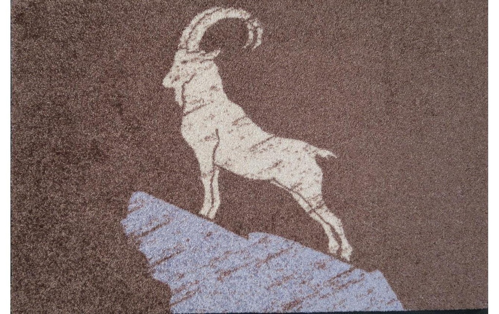 wash+dry Tapis de sol Capricorne, brun, 50 cm x 75 cm