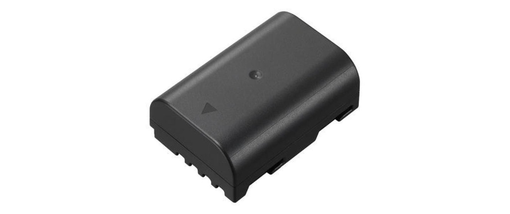 Panasonic Batterie pour Appareils photo numérique DMW-BLF19E