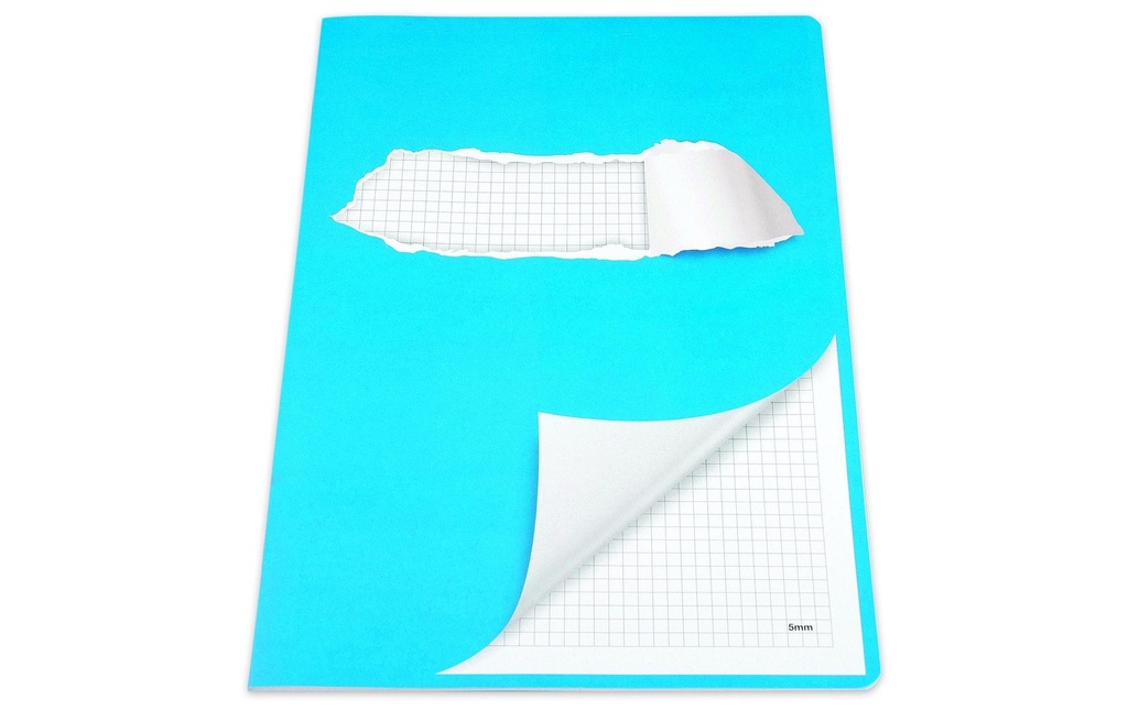 ELCO Cahier d'école bordée A4, À carreaux, Bleu/Blanc