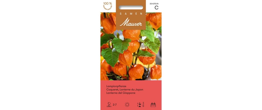 Samen Mauser Semence plante-lanterne