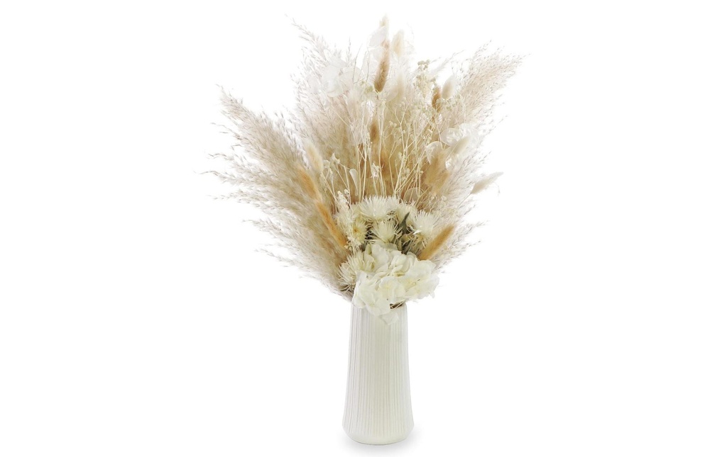 Soli Collection Fleurs séchées Nadine 60 cm, blanc