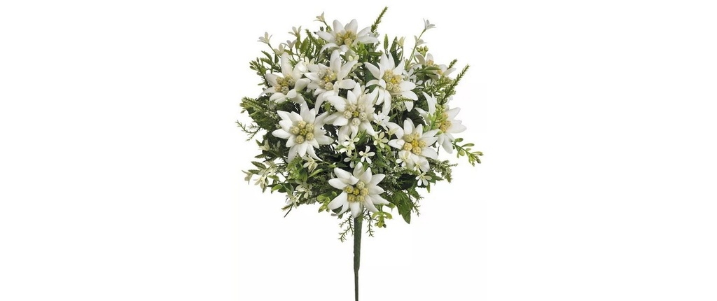 Botanic-Haus Fleur artificielle Bouquet d'edelweiss 29 cm