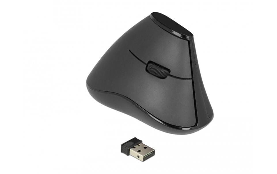 Delock Souris ergonomique 12622 Silent USB sans fil