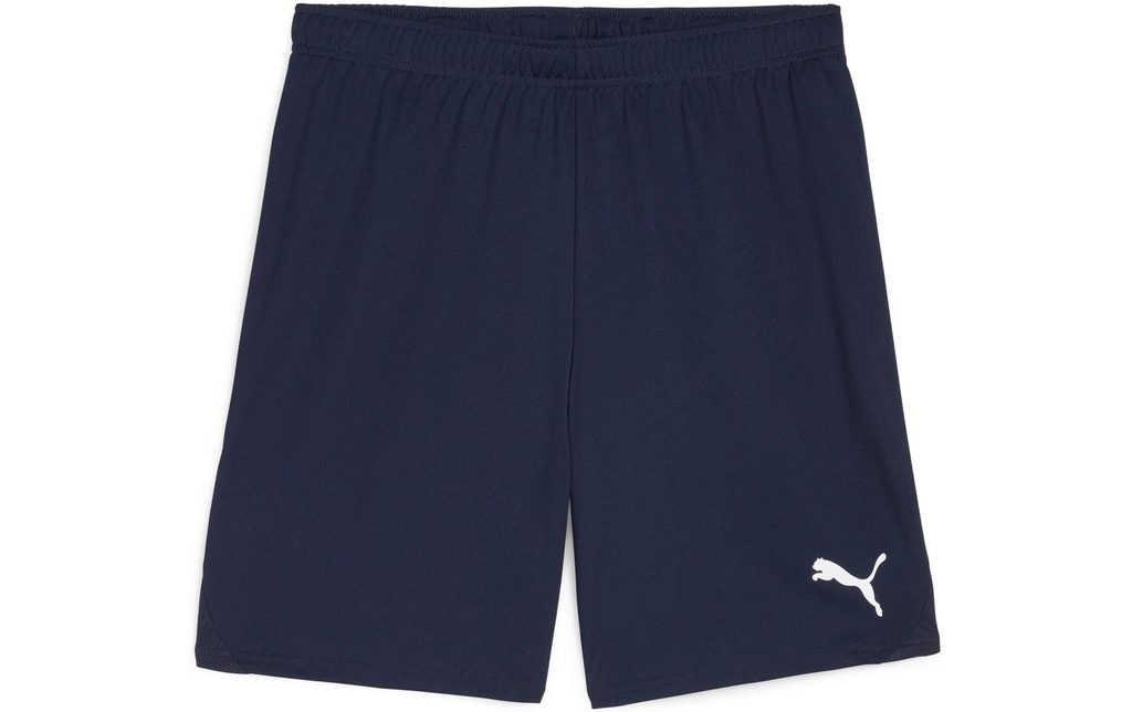 PUMA Shorts teamGOAL M, Bleu