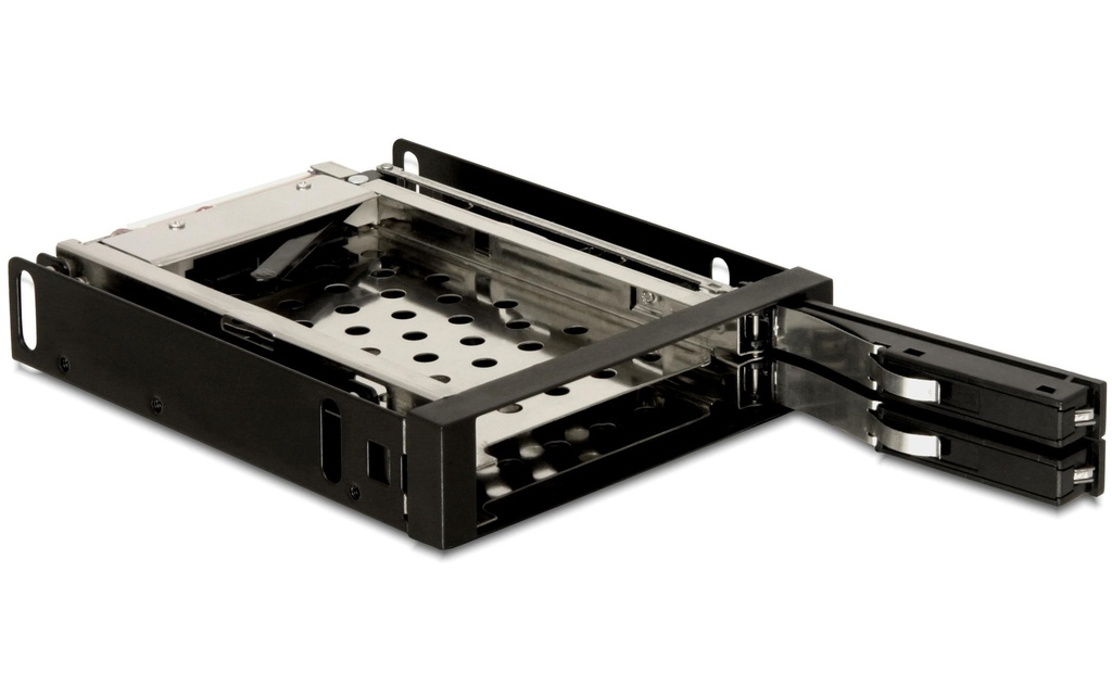 Delock Cadre interchangeable 3.5 Mobile Rack pour 2x 2.5 po