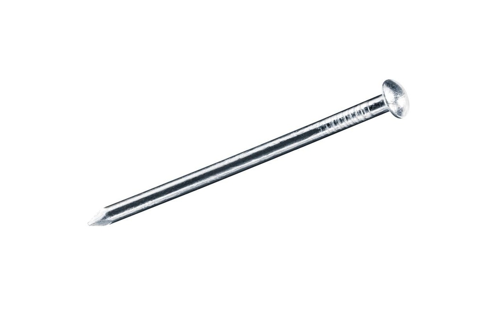 FTM Clous en acier galvanisé 2,0x 30 mm, 100 pièces