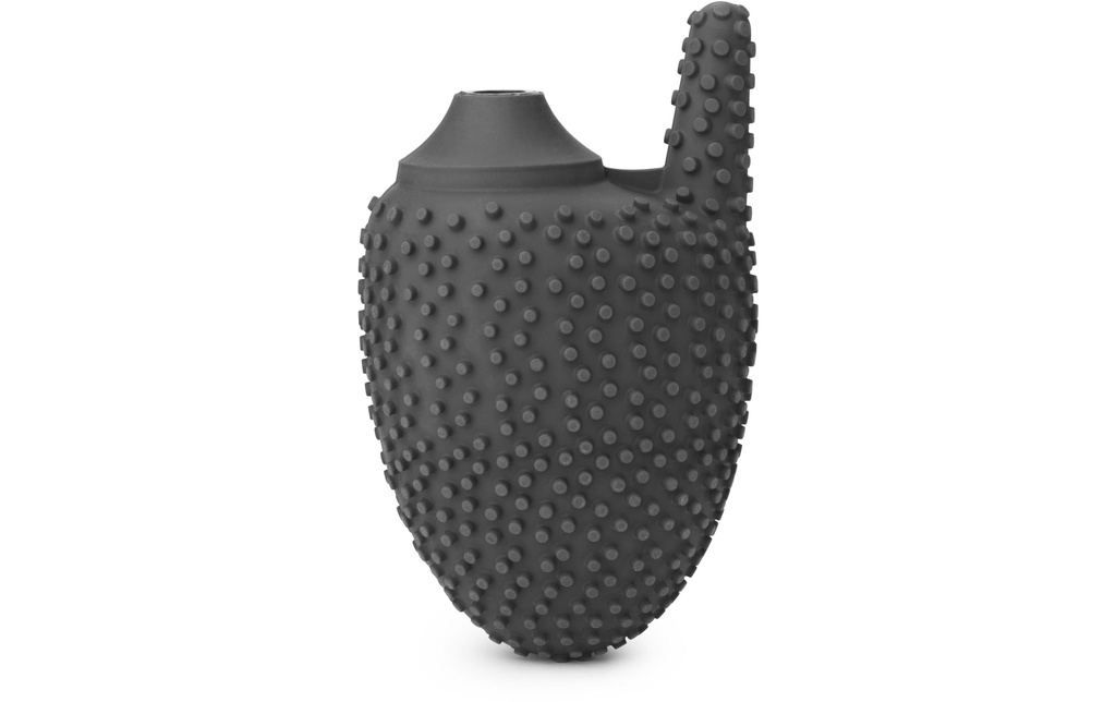 Brabantia Tête de brosse de rechange Mindset Anthracite