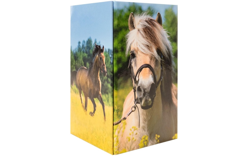 HERMA Pot à crayons Prairie pour chevaux Vert