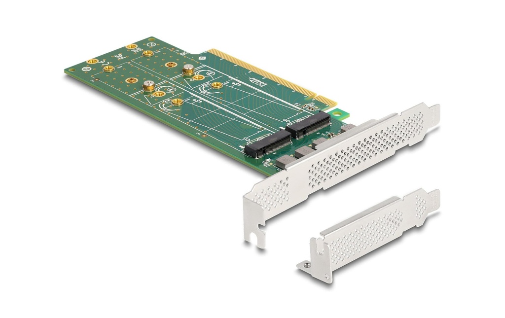 Delock Adaptateur de bus hôte PCI-Express x16 - 4 x NVMe M.2 Key M 110 mm